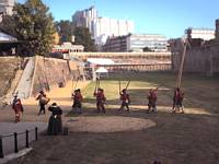 The new model army, on show at the tower of London